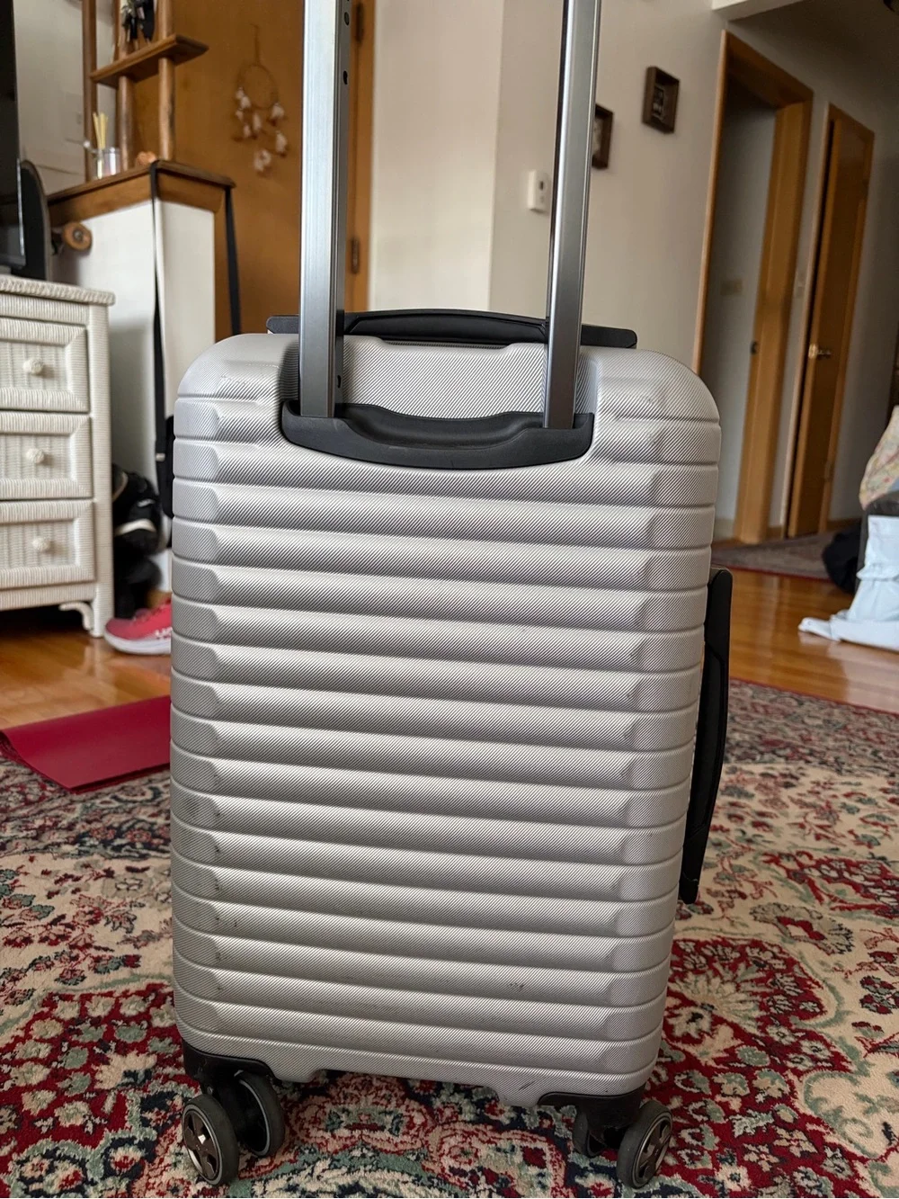 Delsey Paris 20” Carry-On Hardside Spinner Luggage – Silver/Gray
